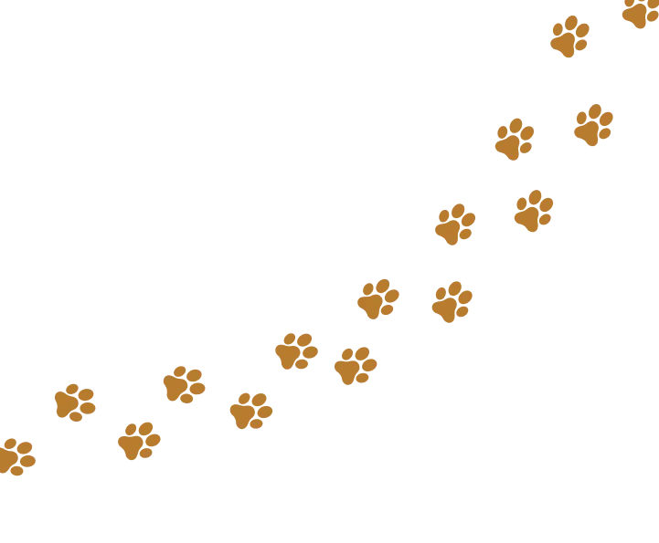 paws background