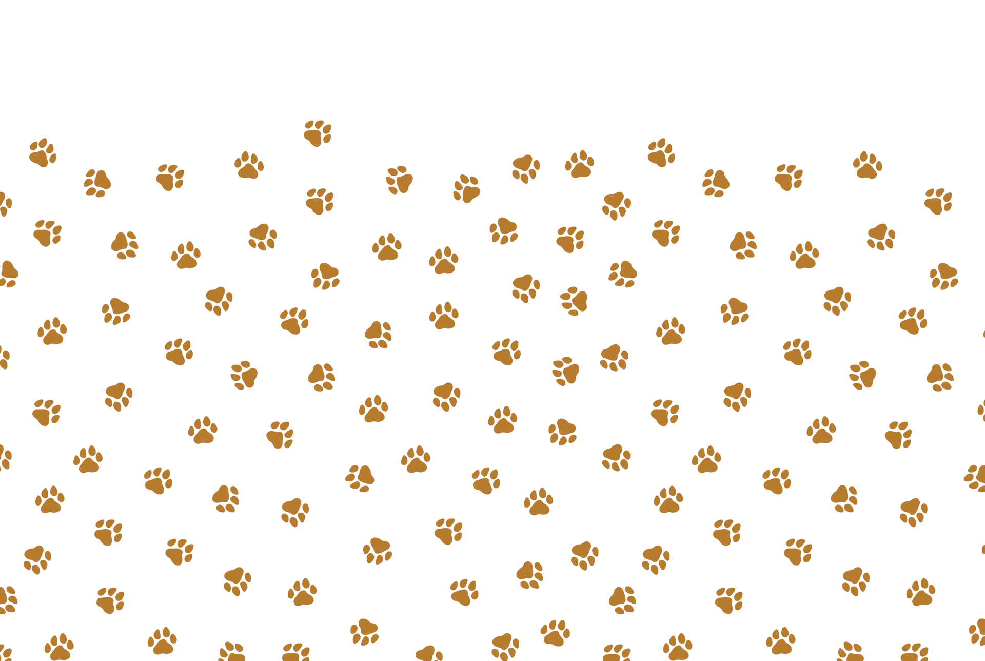 paws backgroung patters