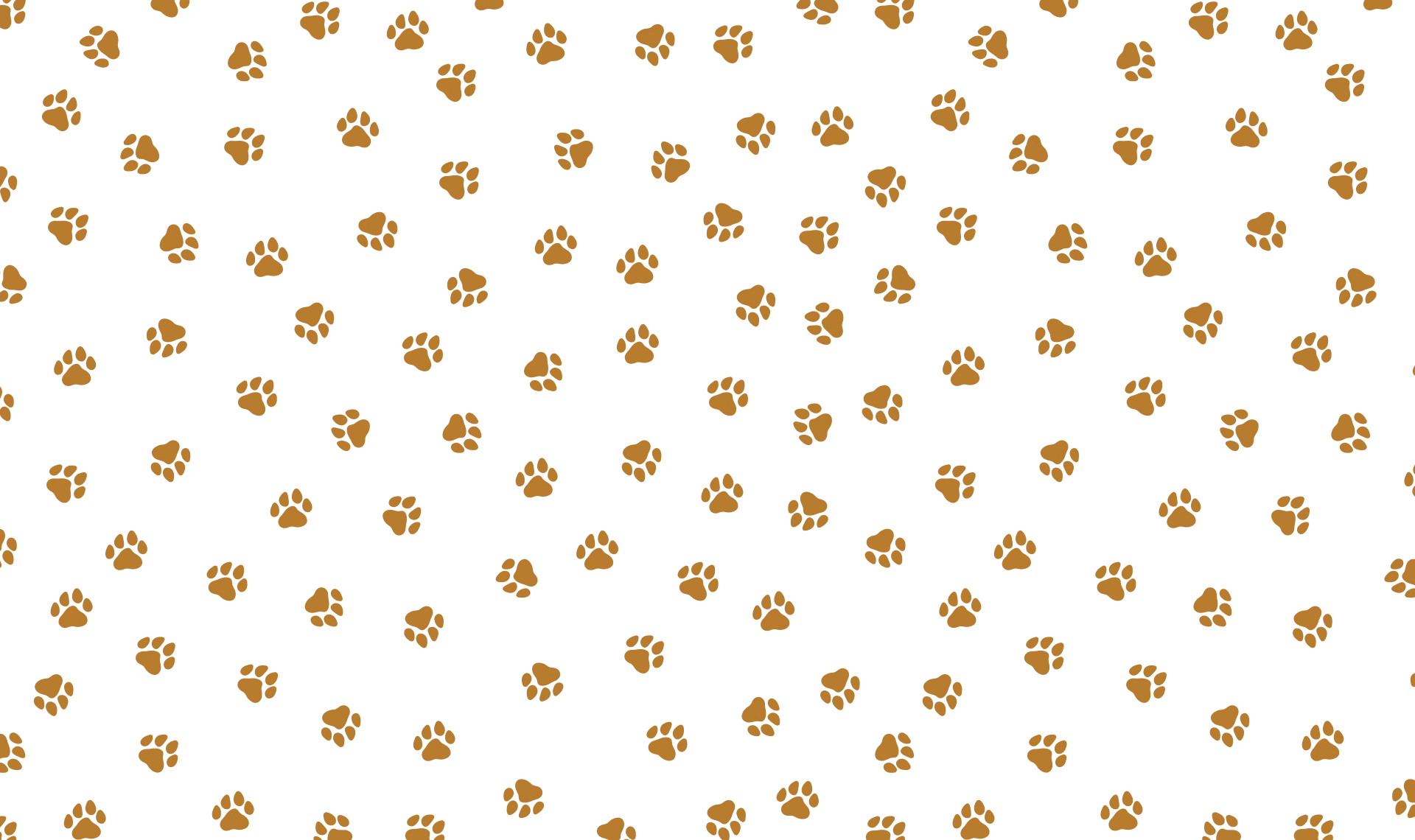 paws background